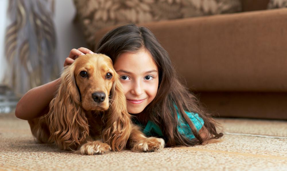 What flooring is best for Pets